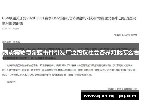 魏震禁赛与罚款事件引发广泛热议社会各界对此怎么看