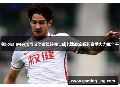 塞尔克自由身加盟汉堡锋线补强完成老牌劲旅盼新赛季火力再全开 塞尔克自由身加盟汉堡锋线补强完成老牌劲旅盼新赛季火力再全开
